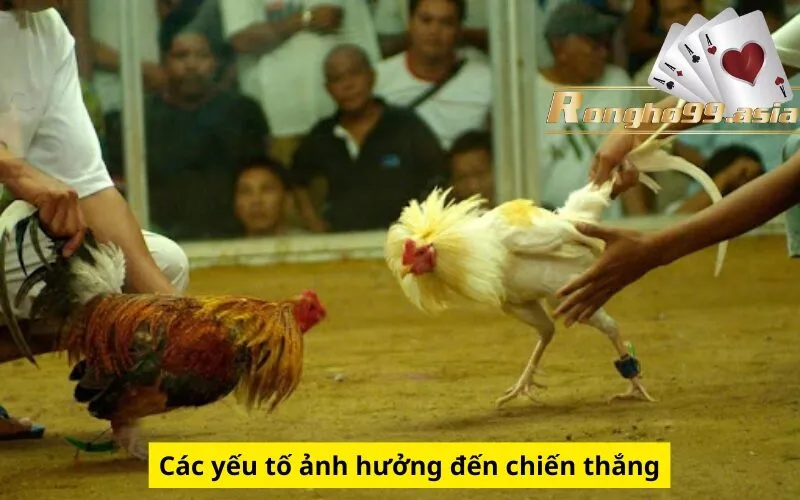 Các yếu tố ảnh hưởng đến chiến thắng