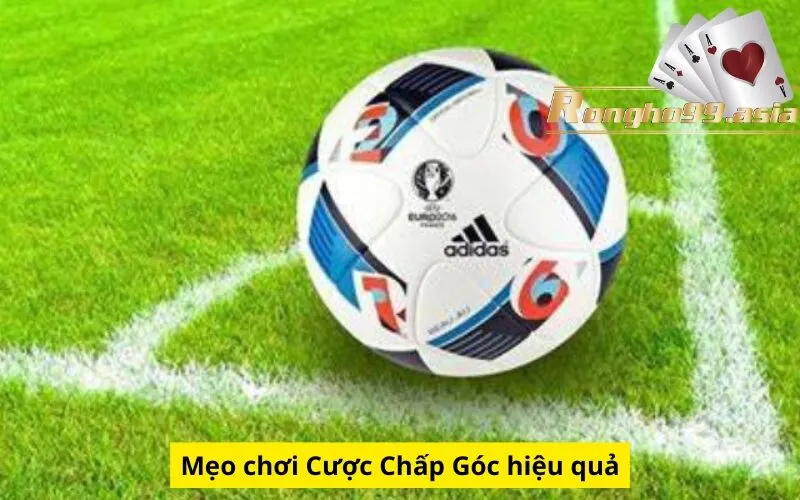 Mẹo chơi Cược Chấp Góc hiệu quả