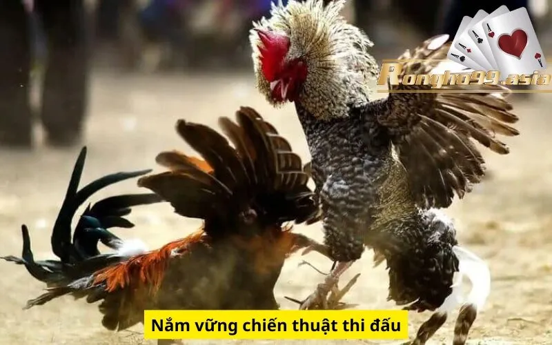 Nắm vững chiến thuật thi đấu