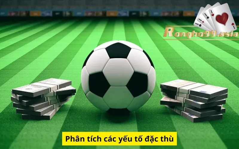 Phân tích các yếu tố đặc thù