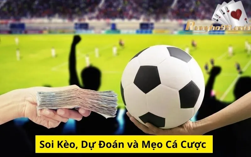 Soi Kèo, Dự Đoán và Mẹo Cá Cược 